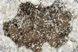 Keokuk Calcite Geode with Iridescent Chalcopyrite - Missouri #215040-3